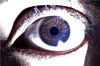 "Mspy App For Android Download