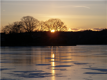 "Mspy Keylogger Not Working