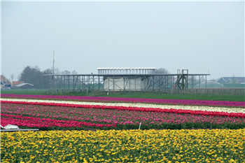 "How To Install Mspy On Iphone 4s