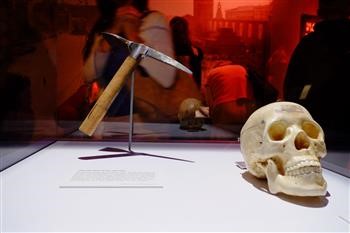 "Alternative For Mspy